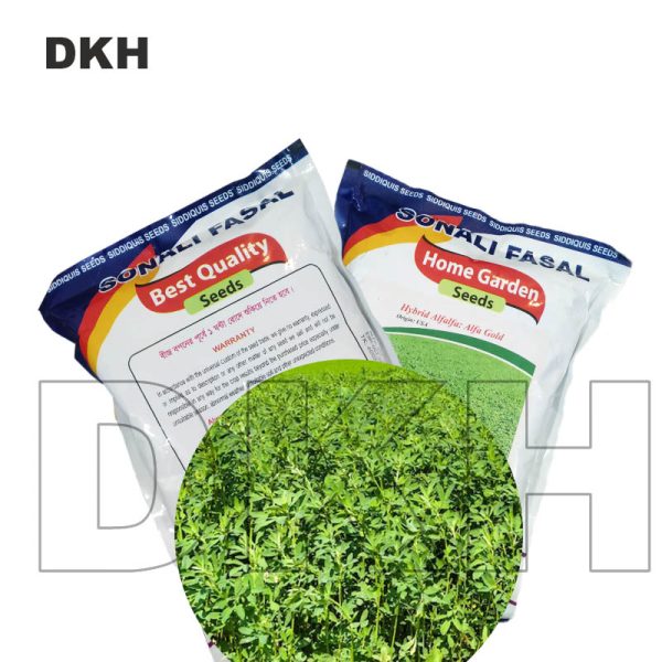 Alfa Alfa Grass Seed -American| আলফা আলফা ঘাসের বীজ -আমেরিকান - Image 4