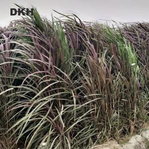লালপাকচং ঘাসের কাটিং | Redpakchong Grass Cutting