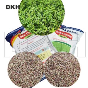 Alfa Alfa Grass Seed -American| আলফা আলফা ঘাসের বীজ -আমেরিকান