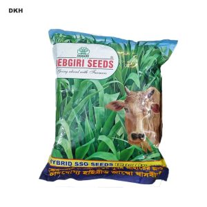 সরগম সুদান ঘাসের বীজ - Indian | Sorghum Sudan Grass Seed - Indian