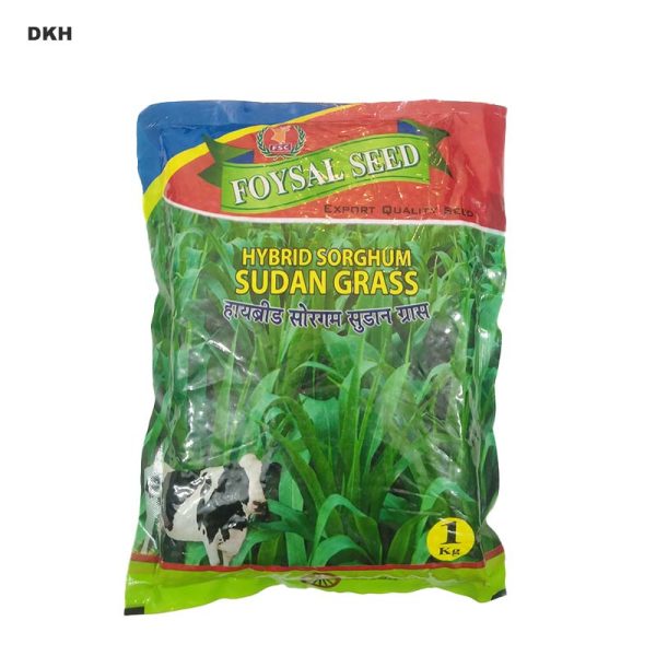 সরগম সুদান ঘাসের বীজ - Indian | Sorghum Sudan Grass Seed - Indian - Image 4
